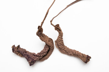 A close-up look at the form, shape and texture of two dried brown leaves set artistically as fine art composed image on a plain white background.