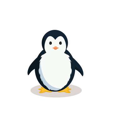 Vector design of baby penguin