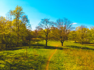 Fototapeta na wymiar beautiful park at berlin with colorful sky