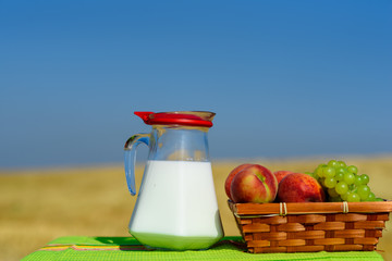 Fresh fruits and milk on rustic linen green tablecloth. Symbols of jewish holiday - Shavuot. Grapes and peaches on basket outdoor. Wheat field and blue sky background.Happy moments, sunny day.
