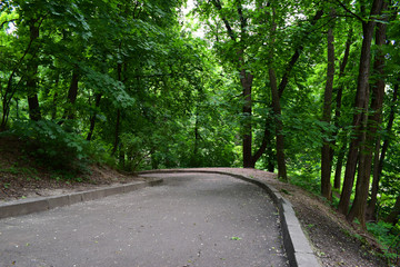 Obraz premium Park in Kiev
