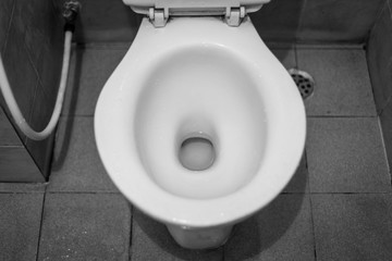 White toilet bowl