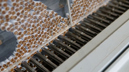 Cigarettes production line in a tobacco factory