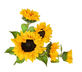 Fotobehang Zonnebloemen Decoratieve zonnebloemen in een mooie hoekopstelling