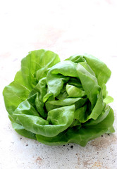 fresh green lettuce on white background