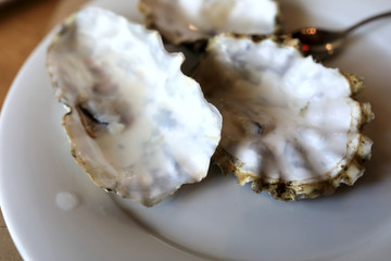 Oyster leftovers on plate