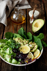 Healthy food. Fresh green salad 