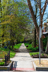 Sidewalk next to a Row of Old Homes in the North Center Neighborhood of Chicago