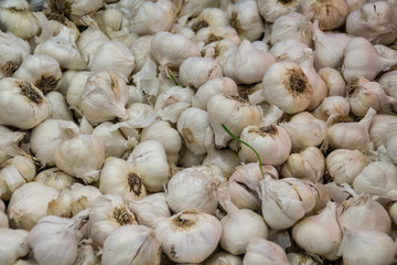Fresh white garlic on market table closeup top view. Vitamin healthy food spice image. Spicy cooking ingredient concept