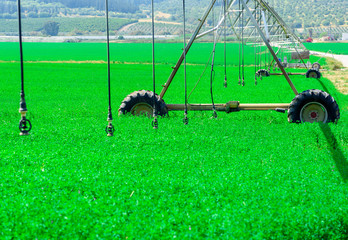Modern farming.Center pivot sprinkler system watering plants in a green field.