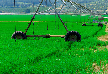 Central pivot irrigation system in a green field in a sunny day. Modern farming