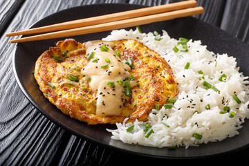 Fried omelet mixed with bean sprouts and ground meat served with a side of white rice close-up on a plate. Horizontal