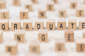 graduate wooden cubes background