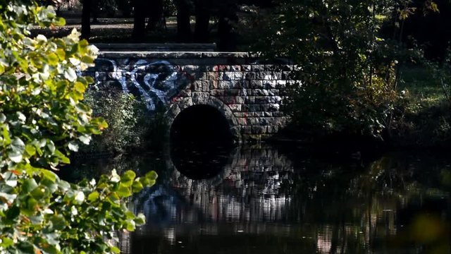 Autumnal impressions from the Septimer Basin (Septimerbecken) and Black Trench (Schwarzer Graben) at the Gotthard Street (Gotthardstra&szlig;e) in Berlin-Wedding from October 5, 2015, Germany