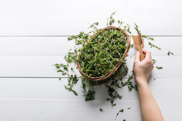 fresh thyme in a wicker basket on a white wooden background