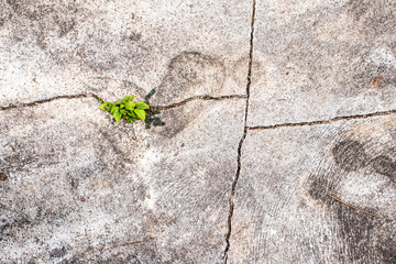 brick and cement background 