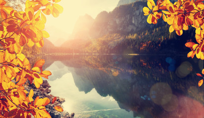 Wonderful Autumn landscape. colorful leafes under sunlit. incredible alpine lake Gosausee with turquoise water in Austrian Alps and Dachstein Mountain is blurred. Amazing Autumn Background