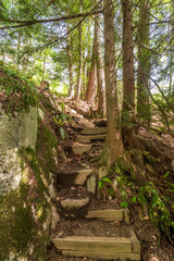 View at Mountain Trail in British Columbia, Canada. Mountains Background.