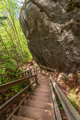 View at Mountain Trail in British Columbia, Canada. Mountains Background.