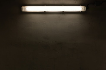 A neon lamp illuminates a wall.