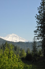 Mount Shasta
