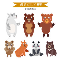 Vector set of different bears isolated on white