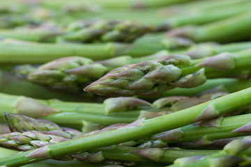 group of raw green asparagus macro