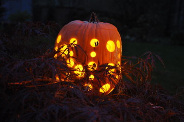 Pumpkin Dots 2014