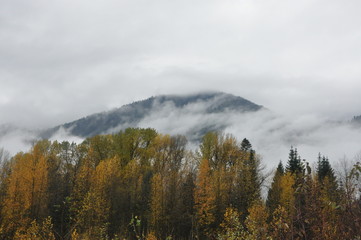 Autumn Mountain and Fog