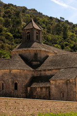 Fototapeta premium Le chevet de l'abbaye de Sénanque