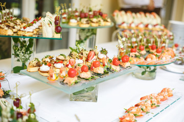 Catering. Off-site food. Buffet table with various canapes, sandwiches, hamburgers and snacks.