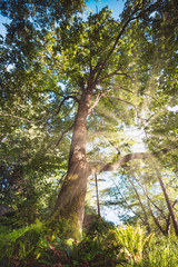 Fine art photography landscapes and seascapes of Bowen Island in the Pacific North West of Canada close to Vancouver British Columbia.  Art for your office and home needs.