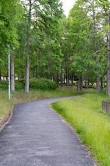 吹田の風景　桃山公園
