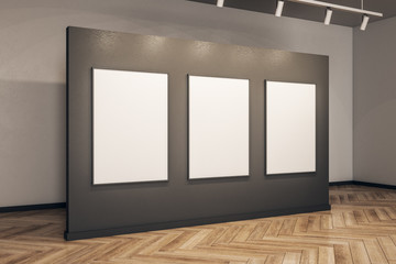 Contemporary gallery with empty frame