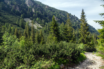 Fototapeta na wymiar Summer Landscape from trail for Malyovitsa peak, Rila Mountain, Bulgaria