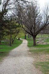 A empty gravel path in the park on a spring day.