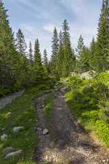 Fototapeta na wymiar Summer Landscape from trail for Malyovitsa peak, Rila Mountain, Bulgaria