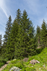 Summer Landscape from trail for Malyovitsa peak, Rila Mountain, Bulgaria
