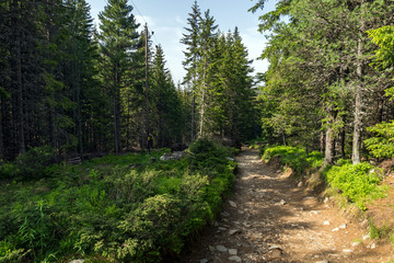 Fototapeta premium Summer Landscape from trail for Malyovitsa peak, Rila Mountain, Bulgaria
