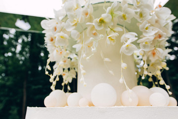 luxury wedding cake. Marzipan flowers. multi-tiered dessert.