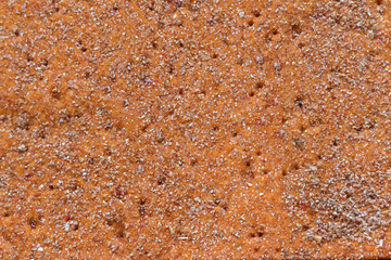Crisp bread background. baked thin healthy seed cracker background