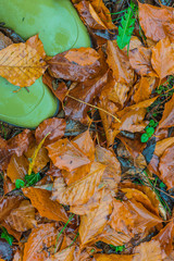 Autumn season concept: green rubber boots on wet autumn leaves. Vertical picture