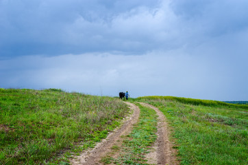 Fototapeta premium Rural landscapes. Cloudy.