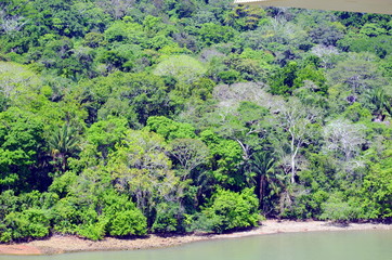 Green landscape of the Panama Canal, view from transiting container ship.