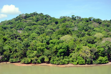 Fototapeta na wymiar Green landscape of the Panama Canal, view from transiting container ship.