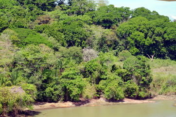 Green landscape of the Panama Canal, view from transiting container ship.