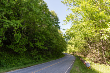 Beautiful Blue Ridge Parkway forest vista in springtime, western North Carolina