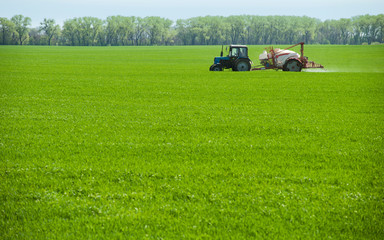 The tractor sprays winter wheat with bio-fertilizer