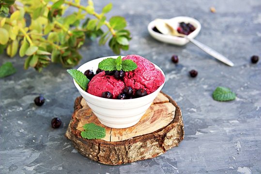 Dessert, frozen yogurt or black currant ice cream in a white bowl on a dark gray background. Decorated with berries of black currant and fresh mint. Summer desserts concept. Copy space.