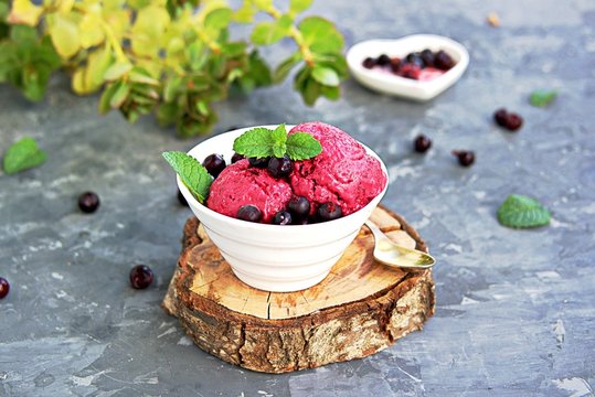 Dessert, frozen yogurt or black currant ice cream in a white bowl on a dark gray background. Decorated with berries of black currant and fresh mint. Summer desserts concept. Copy space.
